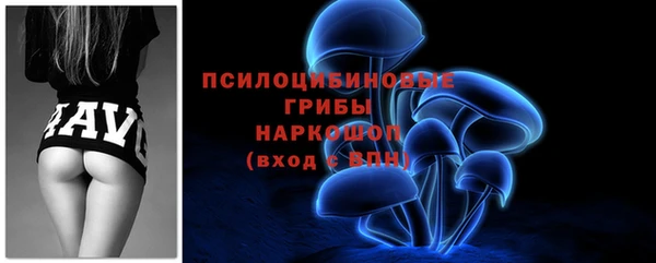 спайс Алексин