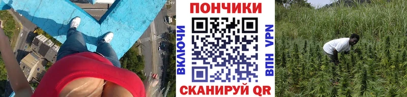 Марихуана MAZAR  ссылка на мегу ССЫЛКА  Пушкино 